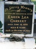image of grave number 783327
